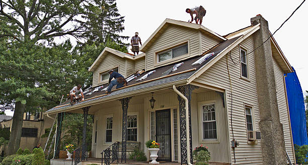 Best New Roof Installation  in Way, NE